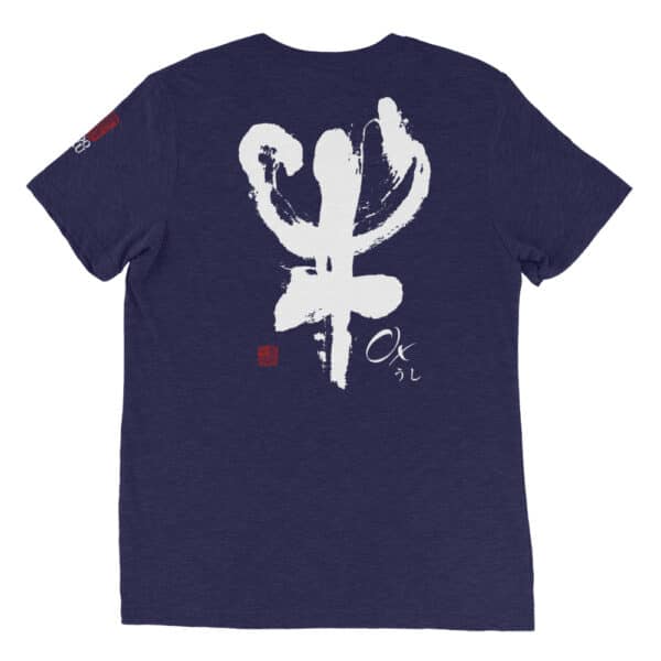 Unisex Tri Blend T Shirt Navy Triblend 5ffa694461b40.jpg